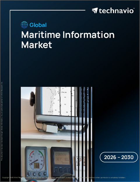 表紙：世界の海事情報市場2026-2030年