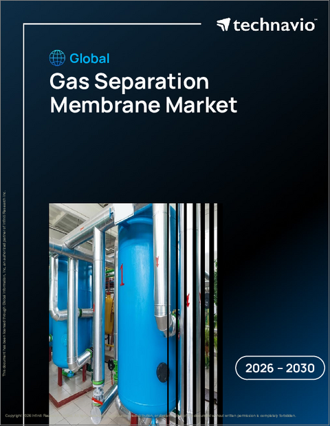 表紙：世界のガス分離膜市場2026-2030年