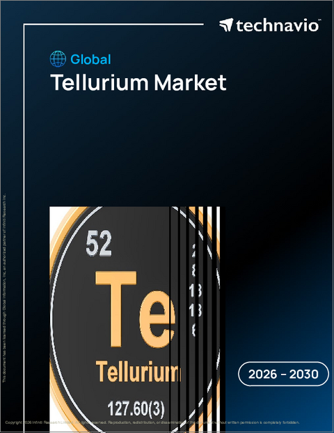 表紙:世界のテルル市場2026-2030年