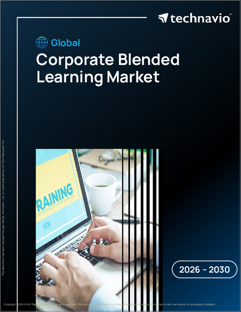 表紙：企業向けブレンディッドラーニングの世界市場、2026年～2030年