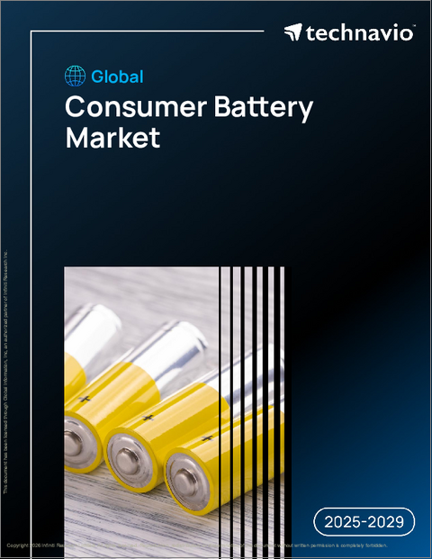表紙:世界の民生用電池市場2025-2029年