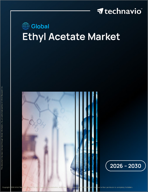 表紙：世界の酢酸エチル市場2026-2030年