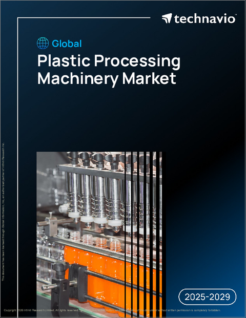 表紙：世界のプラスチック加工機械市場2025-2029年