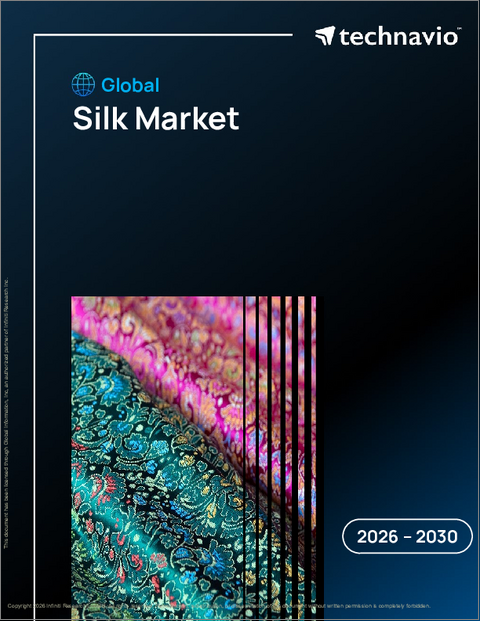 表紙：世界のシルク市場2026-2030年