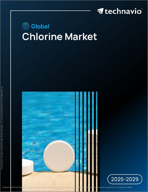 表紙：世界の塩素市場2025-2029年