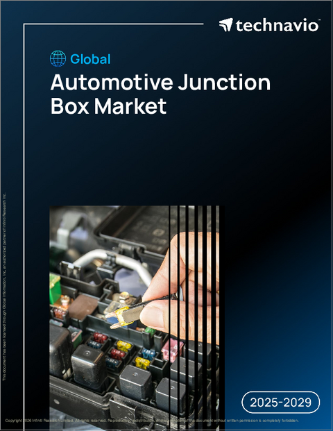 表紙：自動車用ジャンクションボックスの世界市場、2025年～2029年