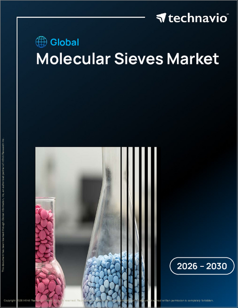 表紙:分子ふるいの世界市場、2026年~2030年