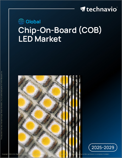 表紙:世界のチップオンボード(COB)LED市場2025-2029年