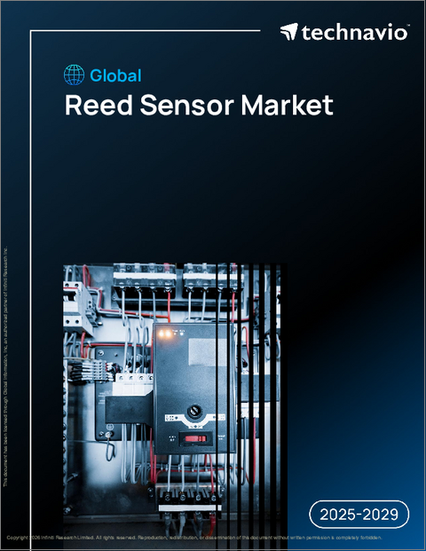 表紙：世界のリードセンサー市場2025-2029年