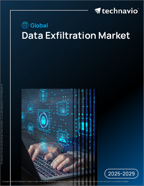 表紙:世界のデータ漏洩対策市場2025-2029年