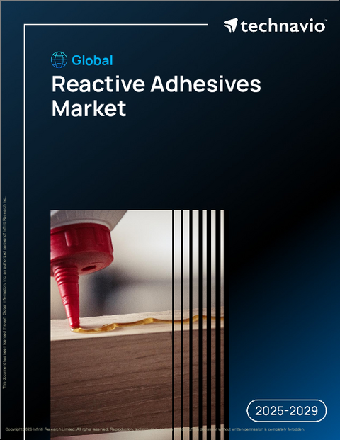 表紙:世界の反応性接着剤市場2025-2029年