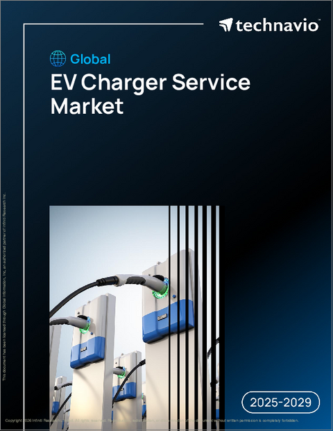 表紙：EV充電器サービスの世界市場、2025年～2029年