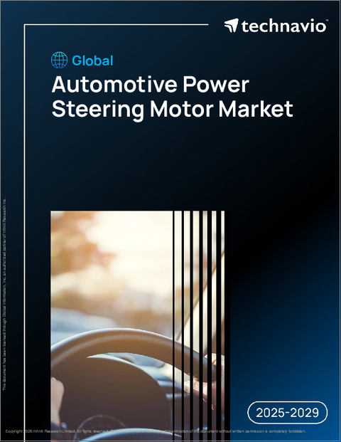 表紙：世界の自動車用パワーステアリングモーター市場2025-2029年