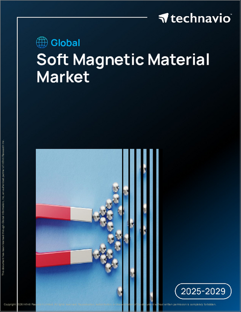 表紙：世界の軟磁性材料市場2025-2029年