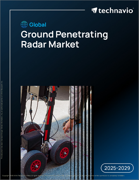 表紙：世界の地中レーダー市場2025-2029年