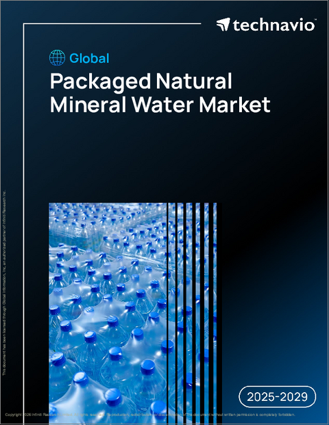 表紙：世界の包装天然ミネラルウォーター市場2025-2029年