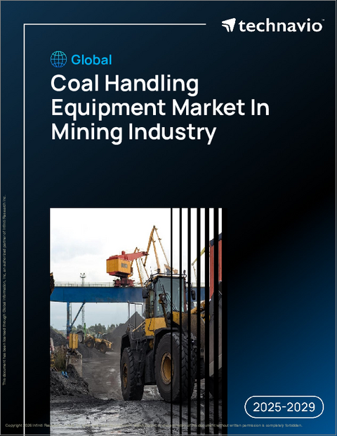 表紙:世界の鉱業用石炭処理設備市場、2025年~2029年