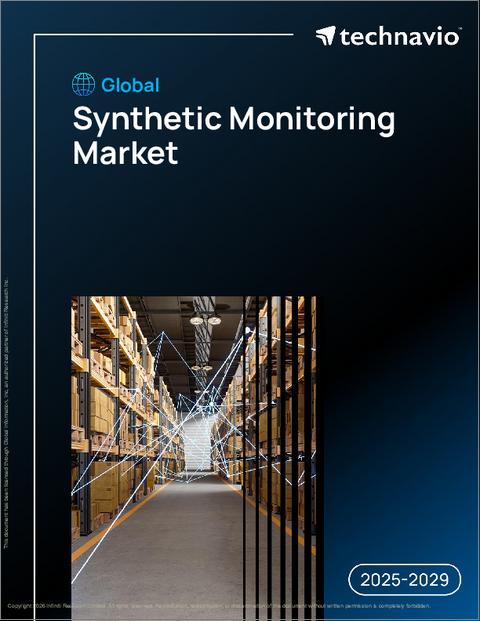 表紙：世界の合成監視市場2025-2029年