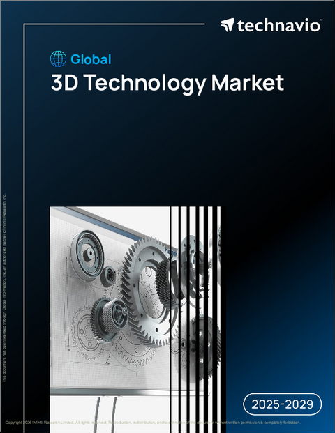 表紙：世界の3Dテクノロジー市場2025-2029年