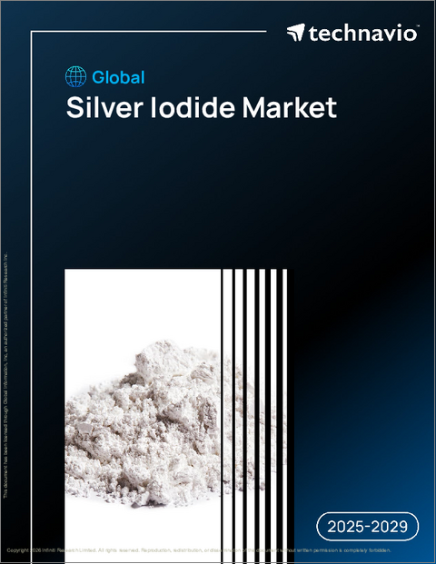 表紙：世界のヨウ化銀市場2025-2029年