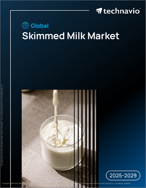 表紙：世界の脱脂乳市場2025-2029年