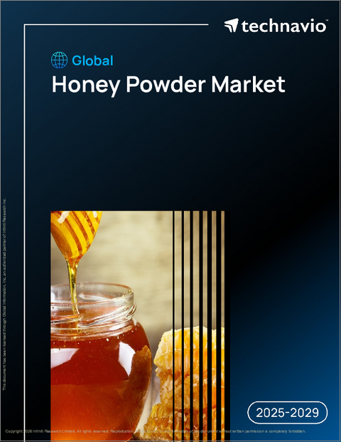 表紙:世界のハニーパウダー市場2025-2029年