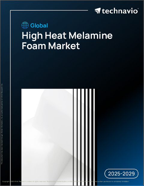 表紙：世界の耐熱性メラミンフォーム市場2025-2029年