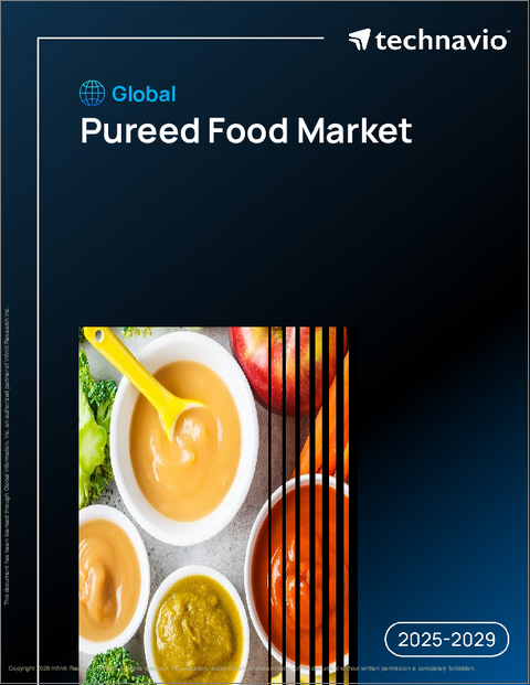 表紙：世界のピューレ食品市場2025-2029年