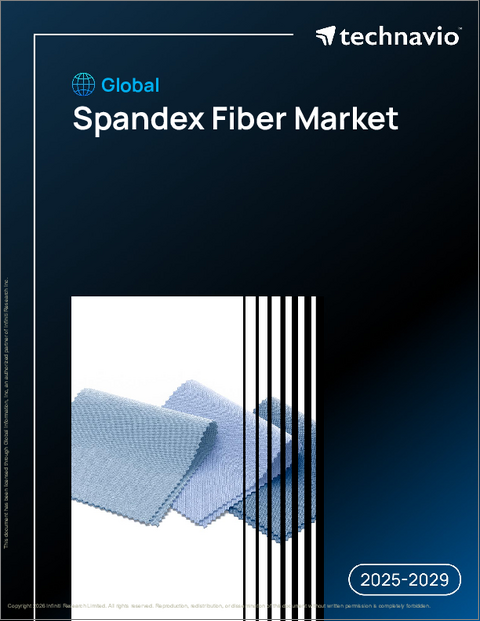 表紙:世界のスパンデックス繊維市場2025-2029年
