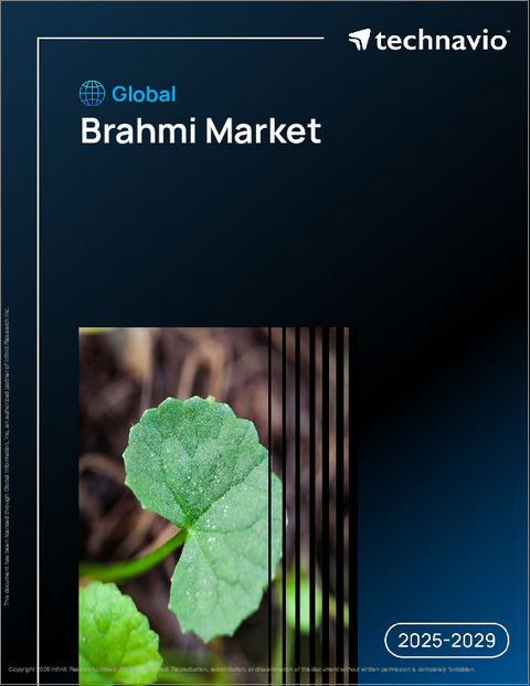 表紙：世界のブラフミ市場、2025年～2029年