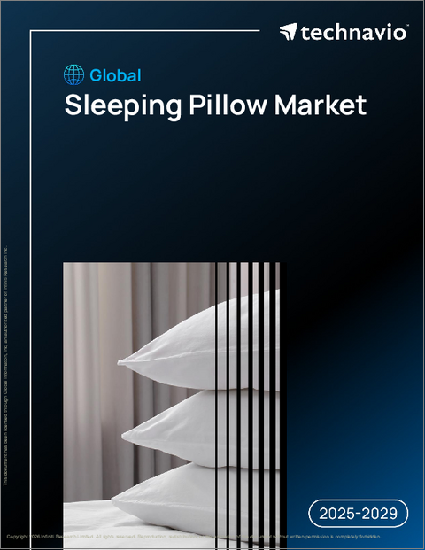表紙：世界の睡眠用枕市場2025-2029年