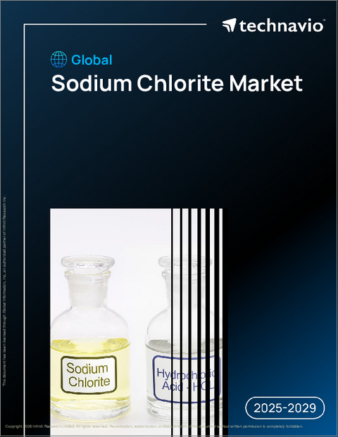 表紙：世界の亜塩素酸ナトリウム市場、2025年～2029年
