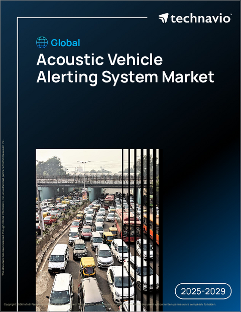 表紙：世界の音響車両警報システム市場、2025年～2029年