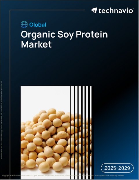 表紙：世界の有機大豆タンパク質市場2025-2029年