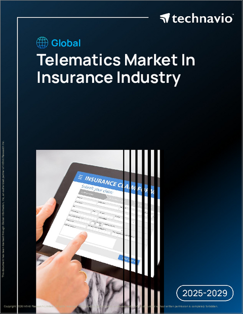 表紙：世界の保険業界向けテレマティクス市場、2025年～2029年