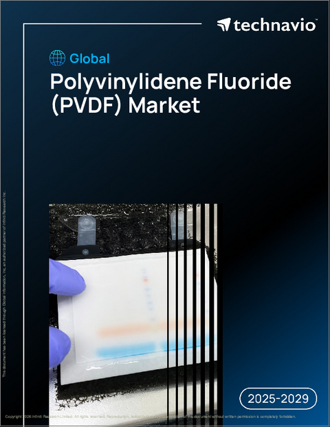 表紙：世界のポリフッ化ビニリデン（PVDF）市場2025-2029年