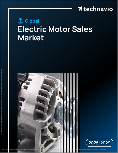 表紙：世界の電動機販売市場2025-2029年