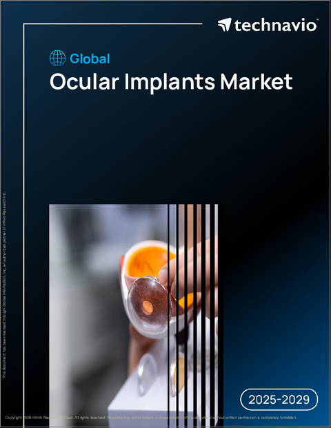 表紙:世界の眼科用インプラント市場2025-2029年