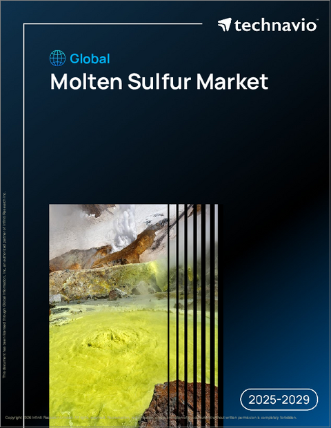 表紙：世界の溶融硫黄市場2025-2029年