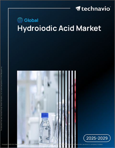 表紙：世界のヨウ化水素酸市場、2025年～2029年