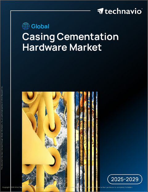表紙：世界のケーシングセメンテーション機器市場2025-2029年