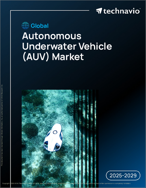 表紙：世界の自律型水中探査機（AUV）市場2025-2029年
