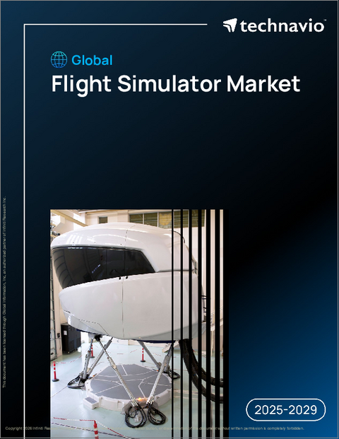 表紙：世界のフライトシミュレーター市場2025-2029年