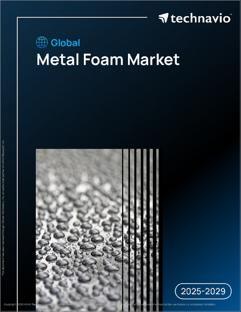 表紙：金属フォームの世界市場、2025年～2029年
