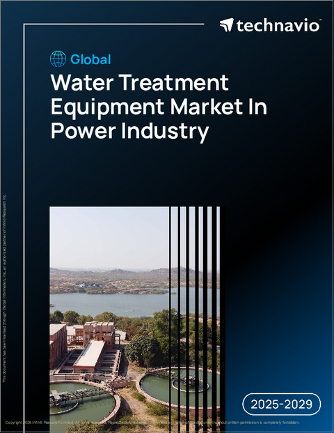 表紙：電力産業における水処理装置の世界市場、2025年～2029年