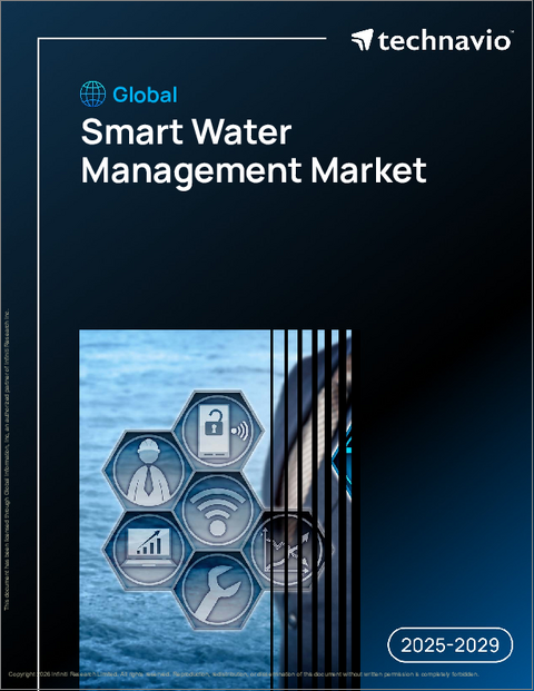 表紙:世界のスマート水管理市場2025-2029年
