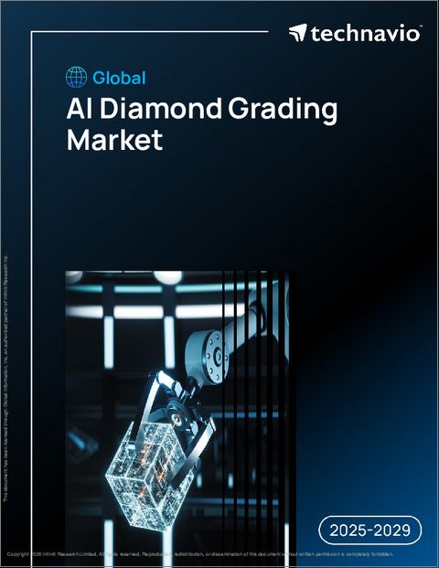 表紙:世界のAIダイヤモンド格付け市場2025-2029年