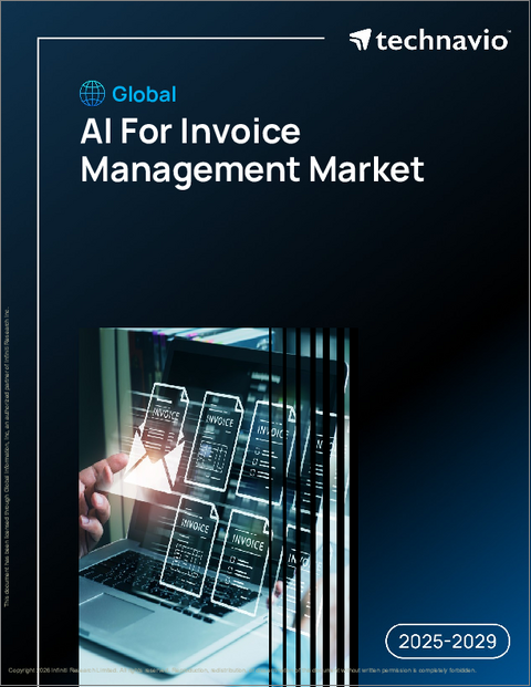 表紙：世界のAI請求書管理市場2025-2029年