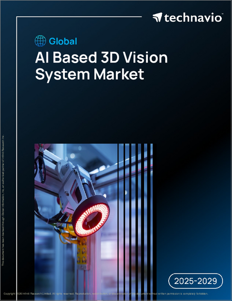 表紙：世界のAIベース3Dビジョンシステム市場（2025年～2029年）