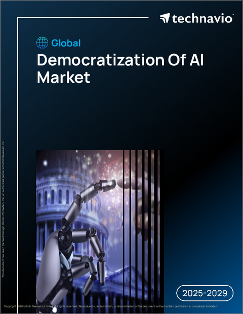 表紙：世界のAI民主化市場（2025年～2029年）